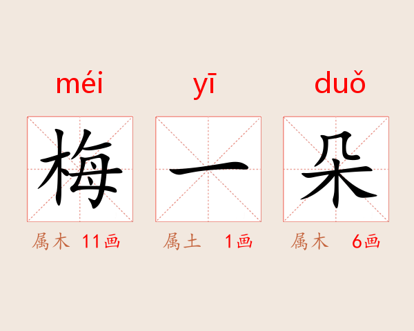 梅一朵