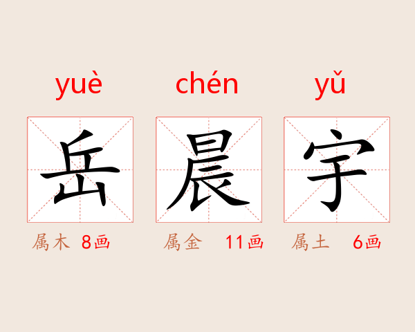 岳晨宇