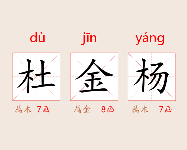 杜金杨