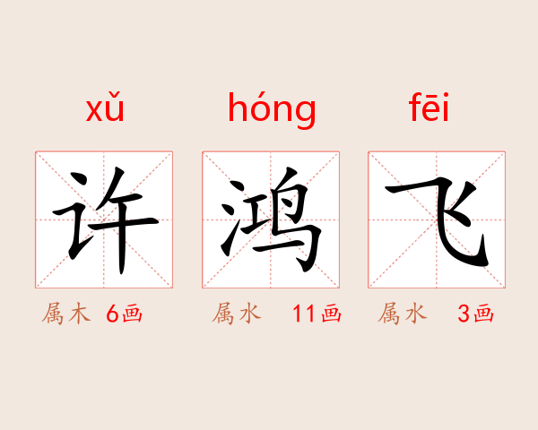 许鸿飞