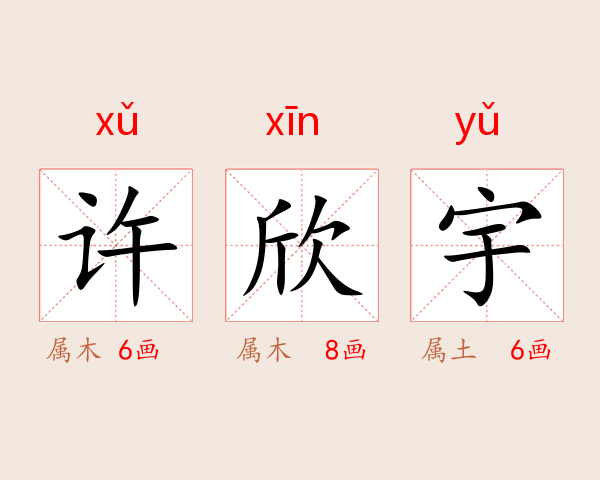 许欣宇