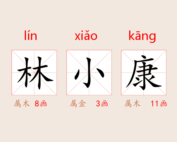 林小康