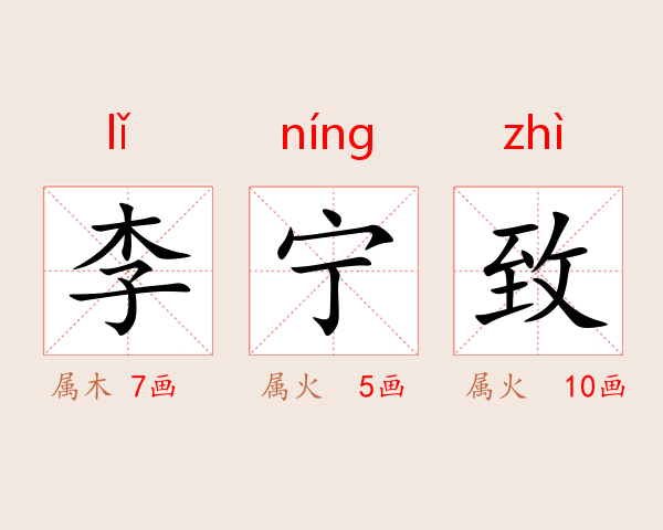 李宁致