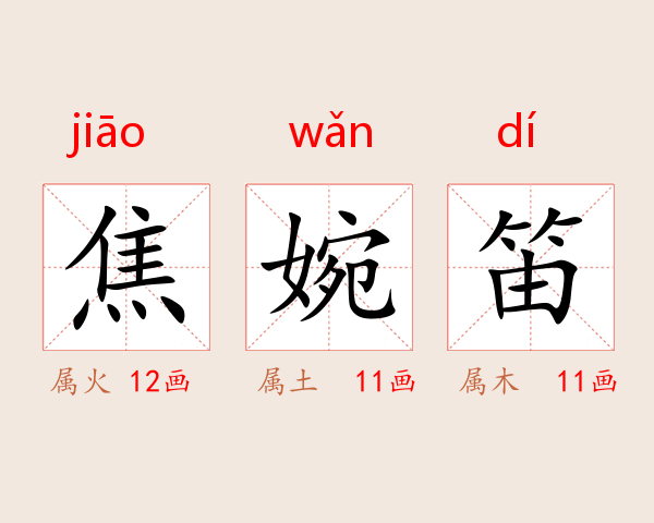 焦婉笛