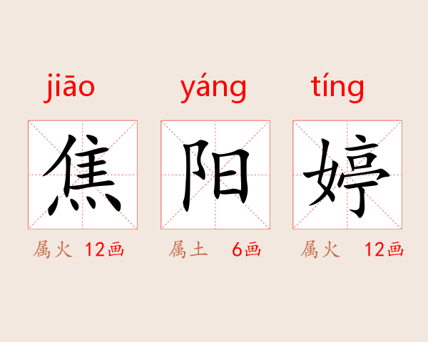 焦阳婷