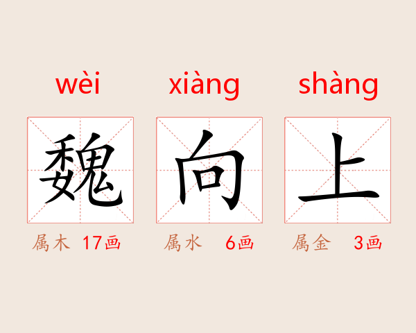 魏向上