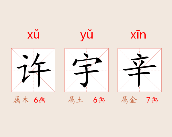 许宇辛