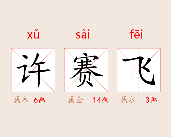 许赛飞