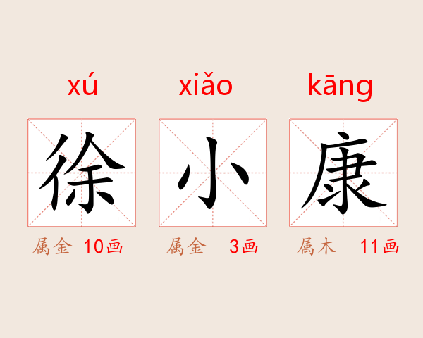 徐小康