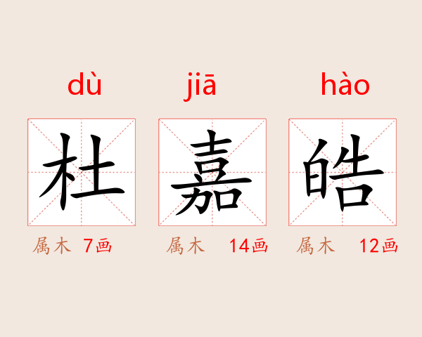 杜嘉皓