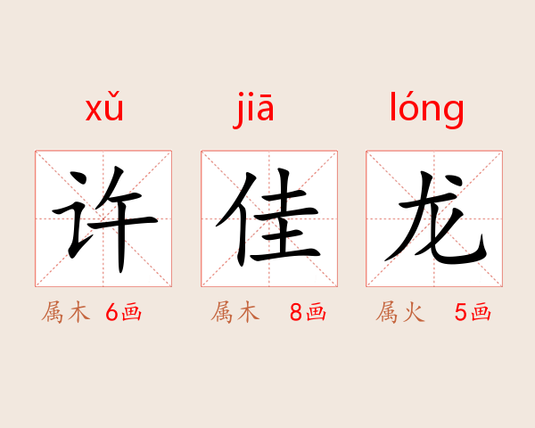 许佳龙