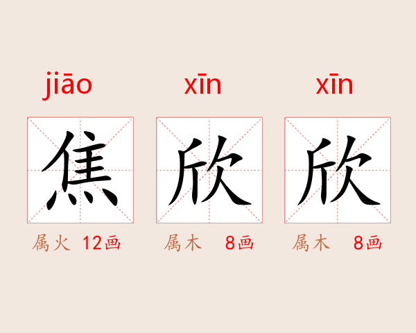焦欣欣