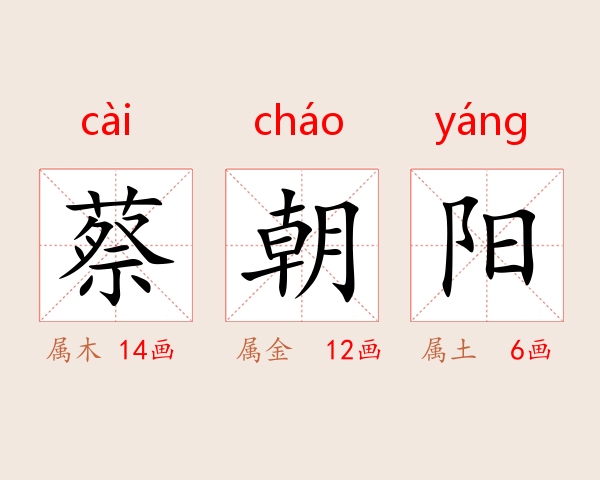 蔡朝阳