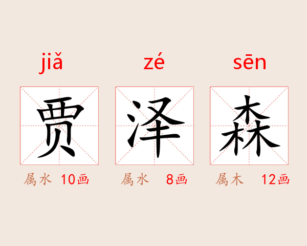 贾泽森