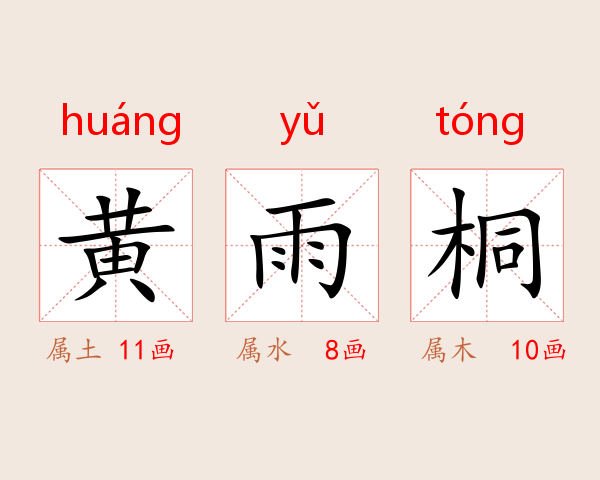 黄雨桐