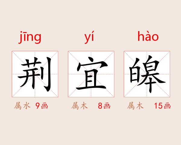 荆宜皞