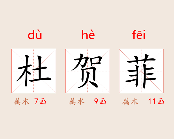 杜贺菲