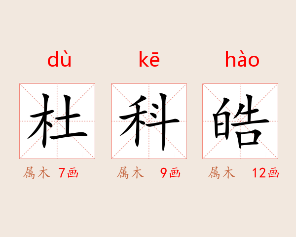 杜科皓