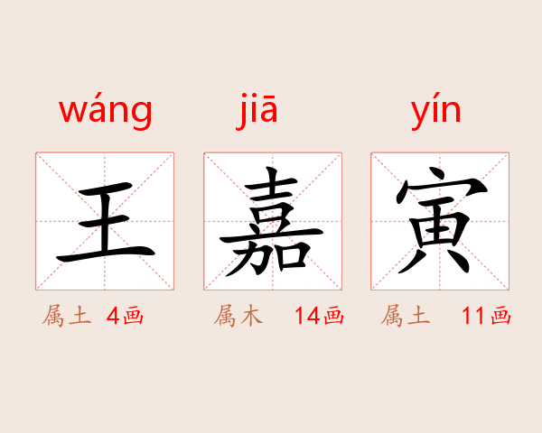 王嘉寅