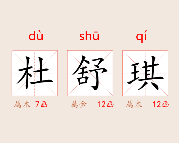 杜舒琪