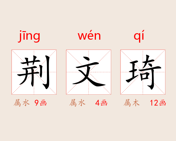 荆文琦