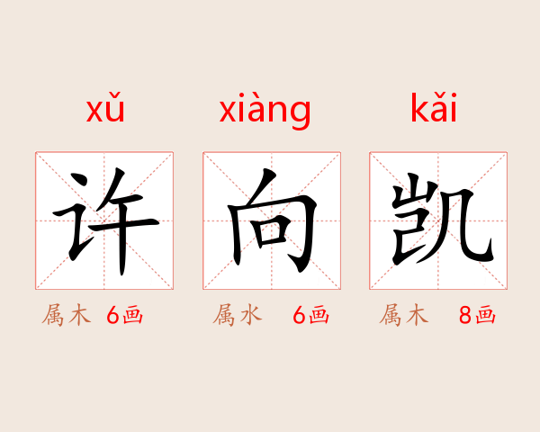 许向凯
