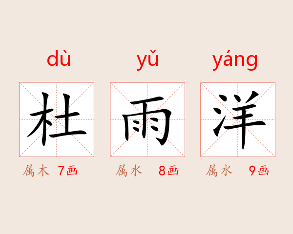 杜雨洋
