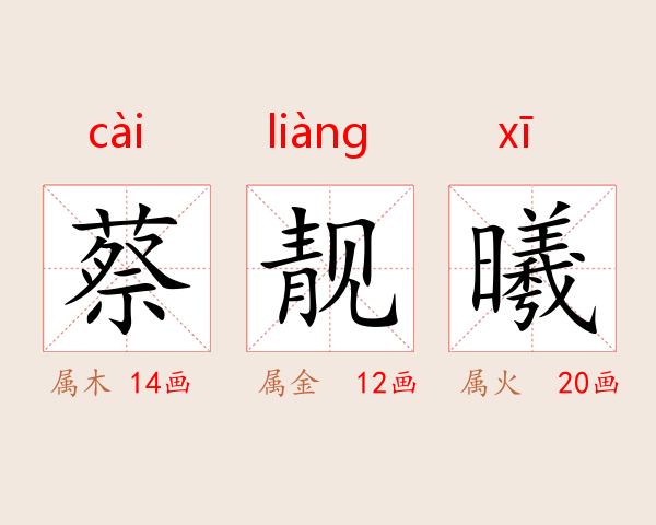 蔡靓曦