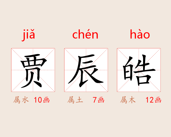 贾辰皓
