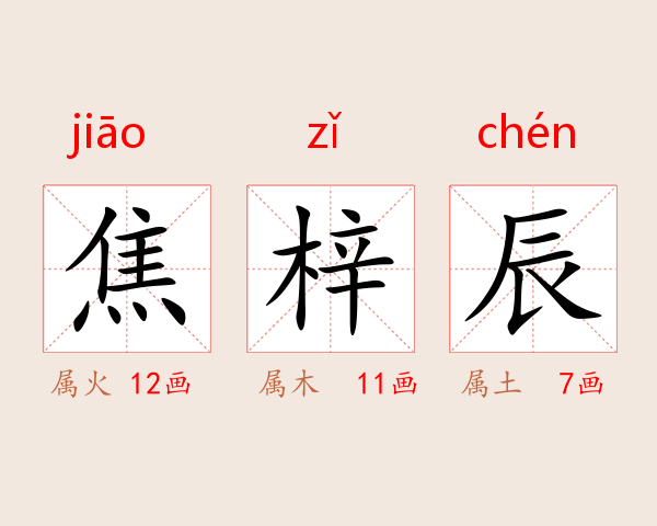 焦梓辰
