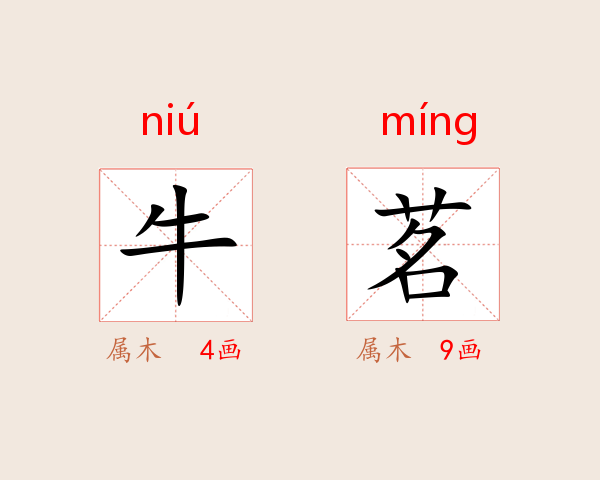 牛茗