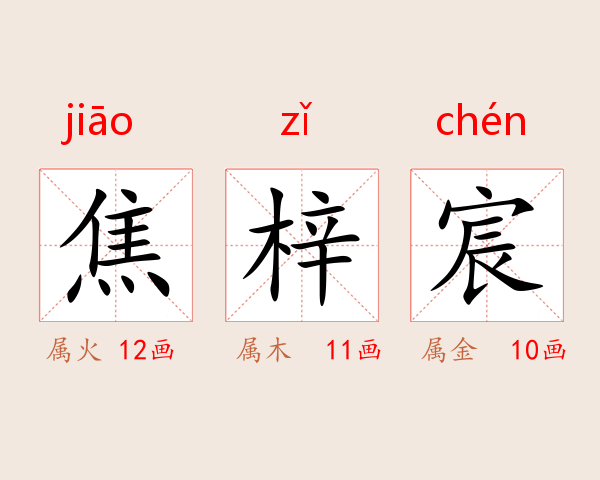 焦梓宸