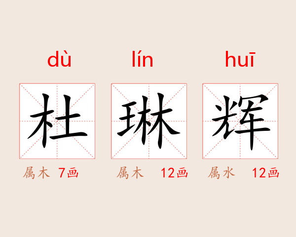 杜琳辉