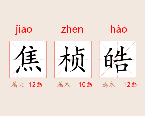 焦桢皓