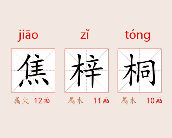 焦梓桐