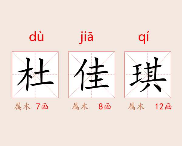 杜佳琪