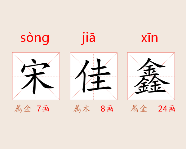 宋佳鑫