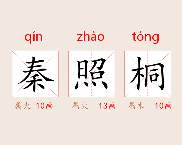 秦照桐