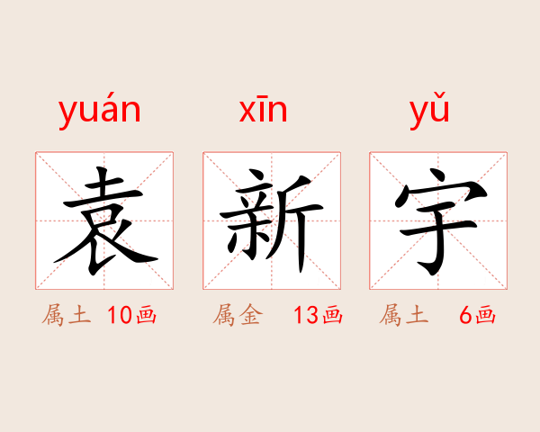 袁新宇