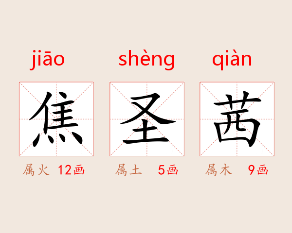 焦圣茜