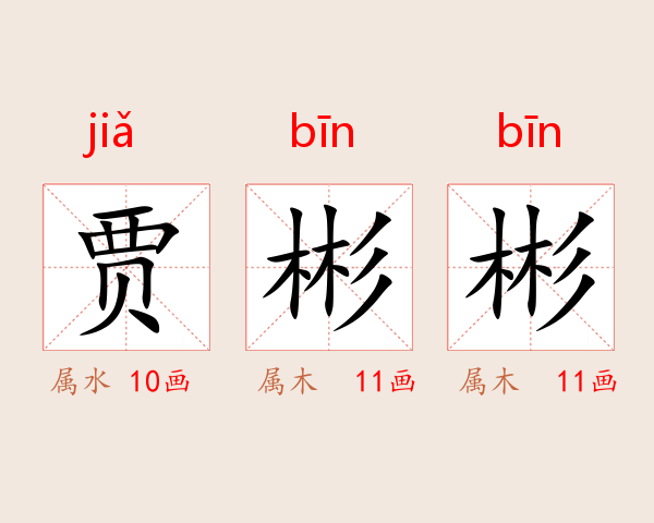 贾彬彬