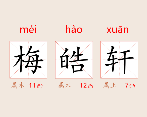 梅皓轩