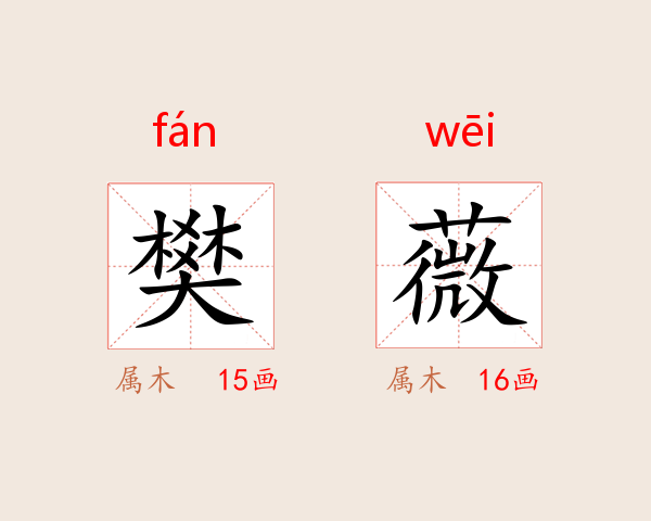 樊薇