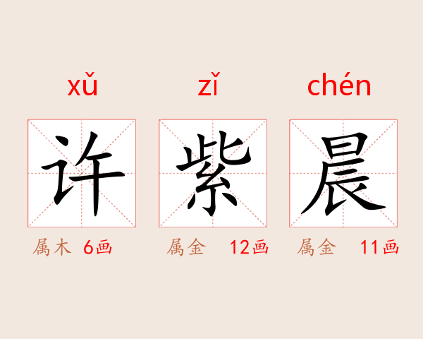 许紫晨
