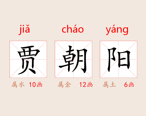 贾朝阳