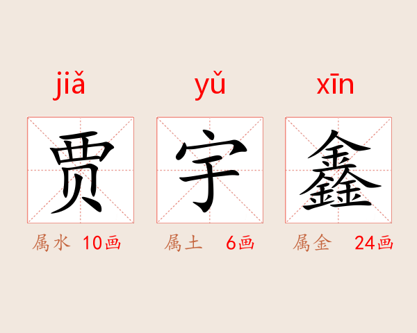 贾宇鑫