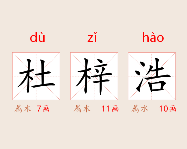 杜梓浩