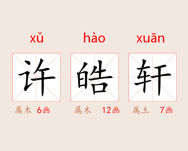 许皓轩