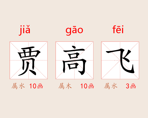 贾高飞