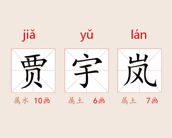 贾宇岚